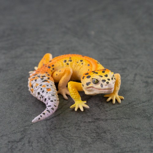 狐童(KODO) F93-202 Kaiyodo Common leopard gecko 2