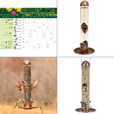 2-in-1 Copper Hanging Bird Feeder - 1 Lb. Capacity | Wild Antique Perky Pet Lb