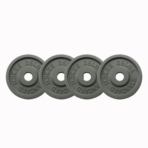Cast Iron 25 lb Weight Plates 2 inch Olympic Barbell Plates for Home Gym Lifting