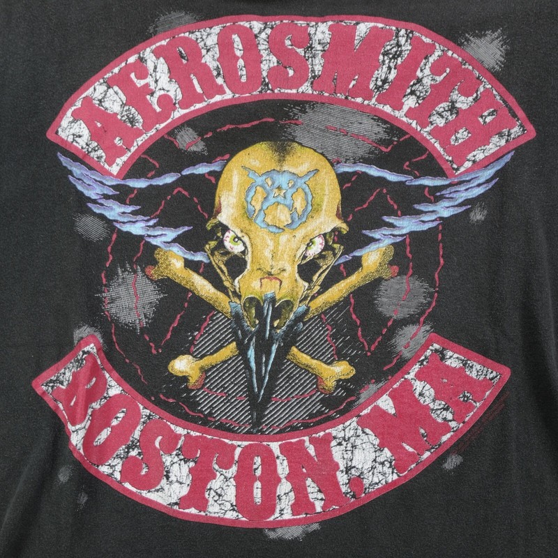 Rare Vintage HANDTEX Aerosmith Pump Tour 1990 Boston MA T