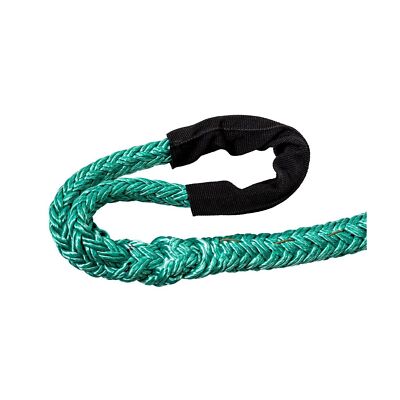 ROPE Logic Unicender w/ 30" Tether and Prusik