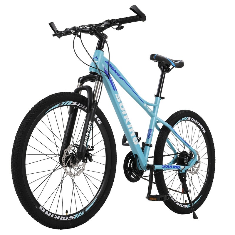 Mtb Dual Disc Brakes Bicycle