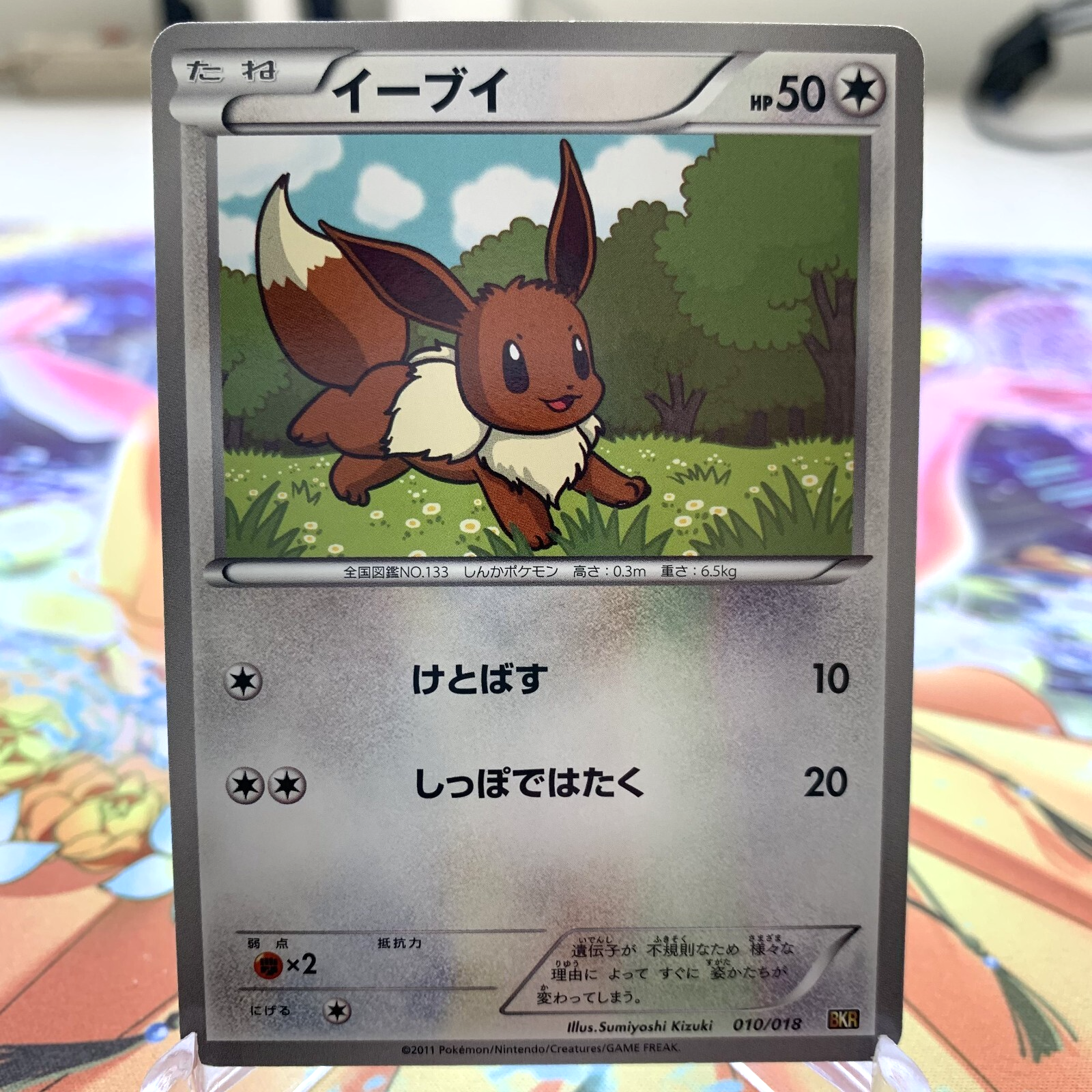 Eevee イーブイ デルタ種 WCS2007入賞者サイン入り 英語 海外 126rushpSV8a126187_250x@2x.jpg
