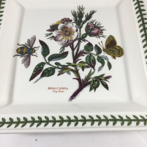 NEW PortMeirion Botanic Garden Dog Rose 8.5