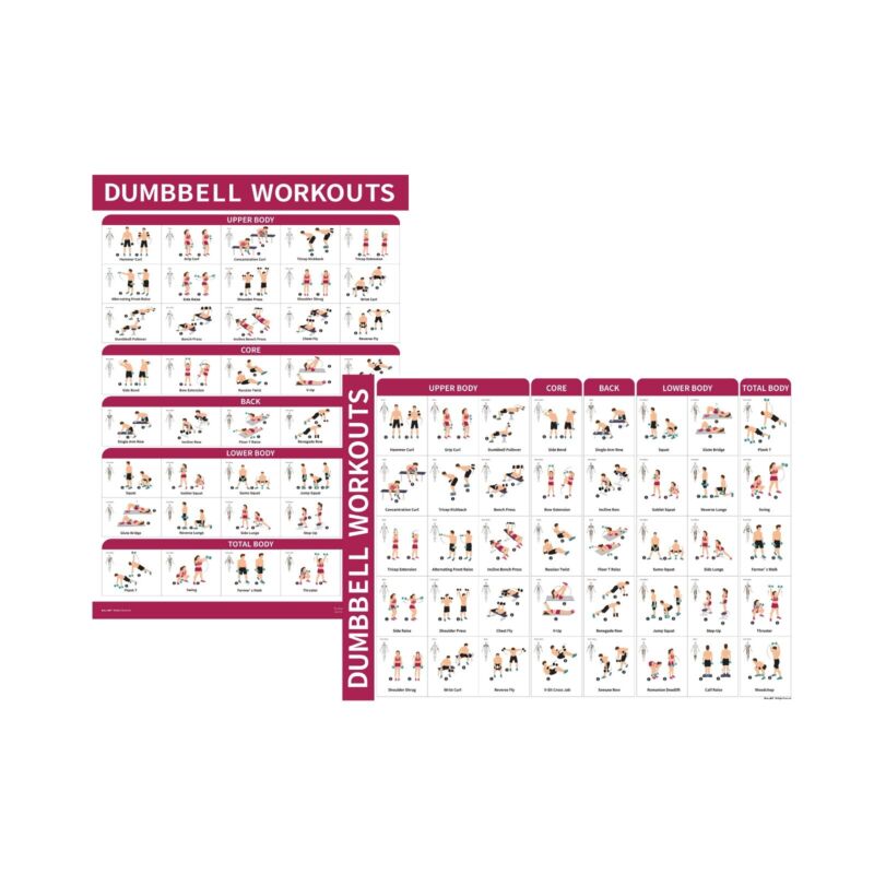 Dumbbell Workout Guide Poster - 40 Positions, Double Sided, 18" x 27"