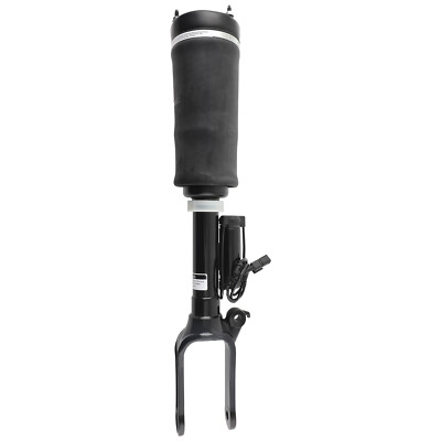 2513203113 Avant Suspension Pneumatique Ads for Mercedes R320 R350 R500 W251