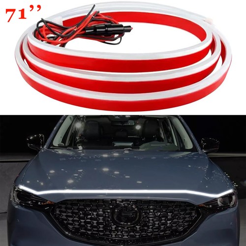 $_12.JPG