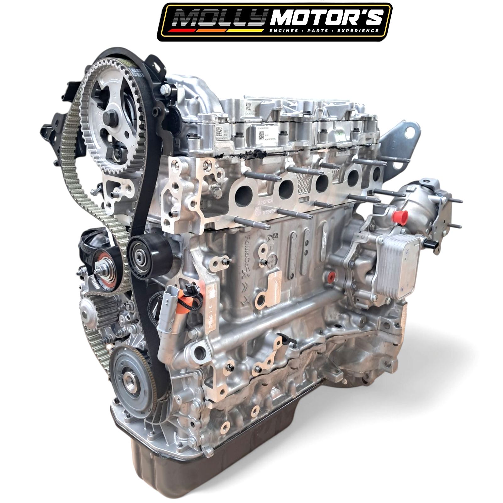 COXTeeDee01エンジン COXTeeDee01エンジン Engine-NEW-CITROEN-PEUGEOT-