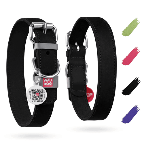 Black Long Lasting Leather Dog Collar for XSmall Dogs 811