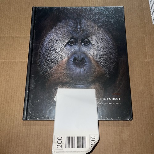 Faces in the forest 森の仲間たち : postcard b… King of the Forest 300 | SunsOut.com