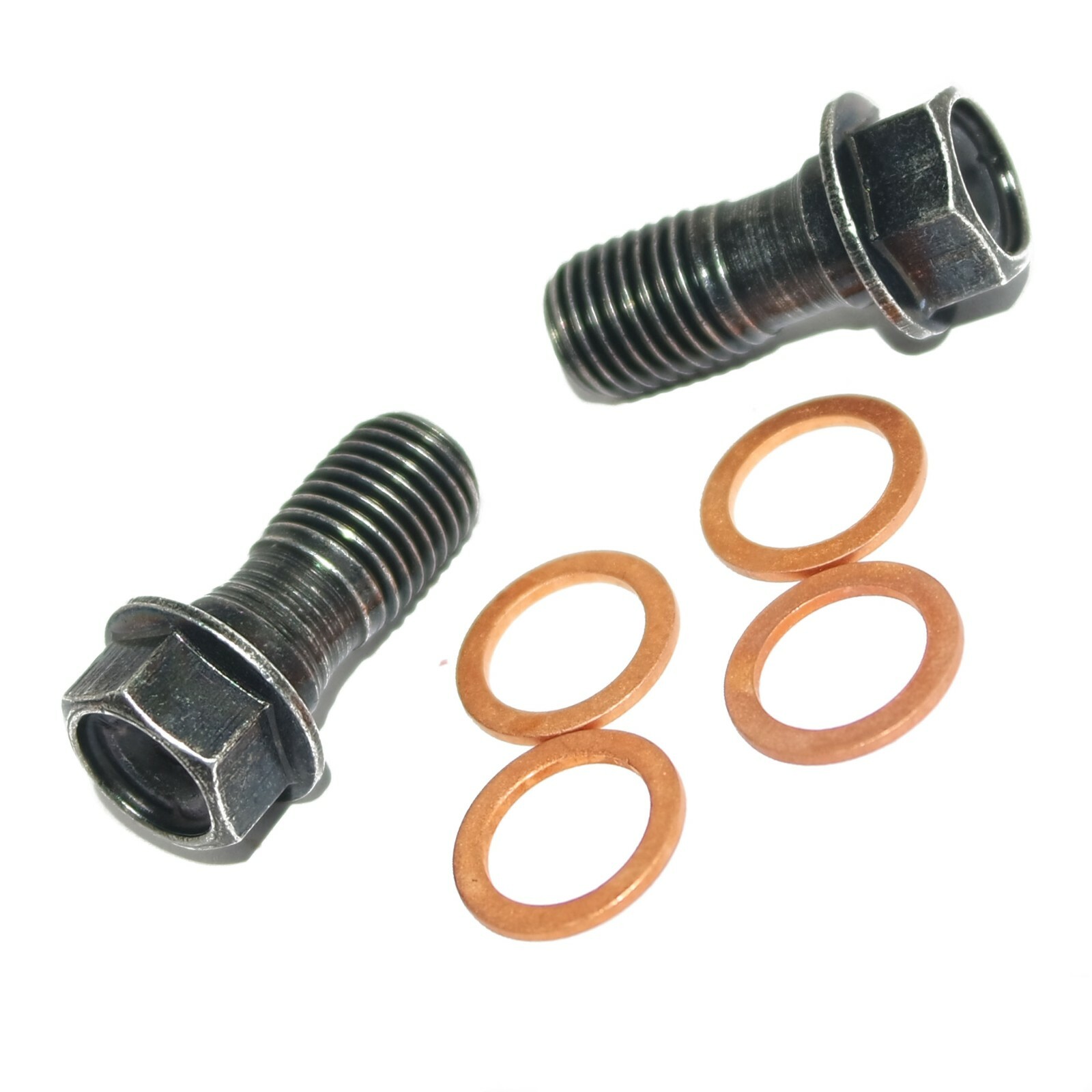Rear Brake Hose Assembly With Banjo Bolt Kit For ROYAL ENFIELD HIMALAYAN 