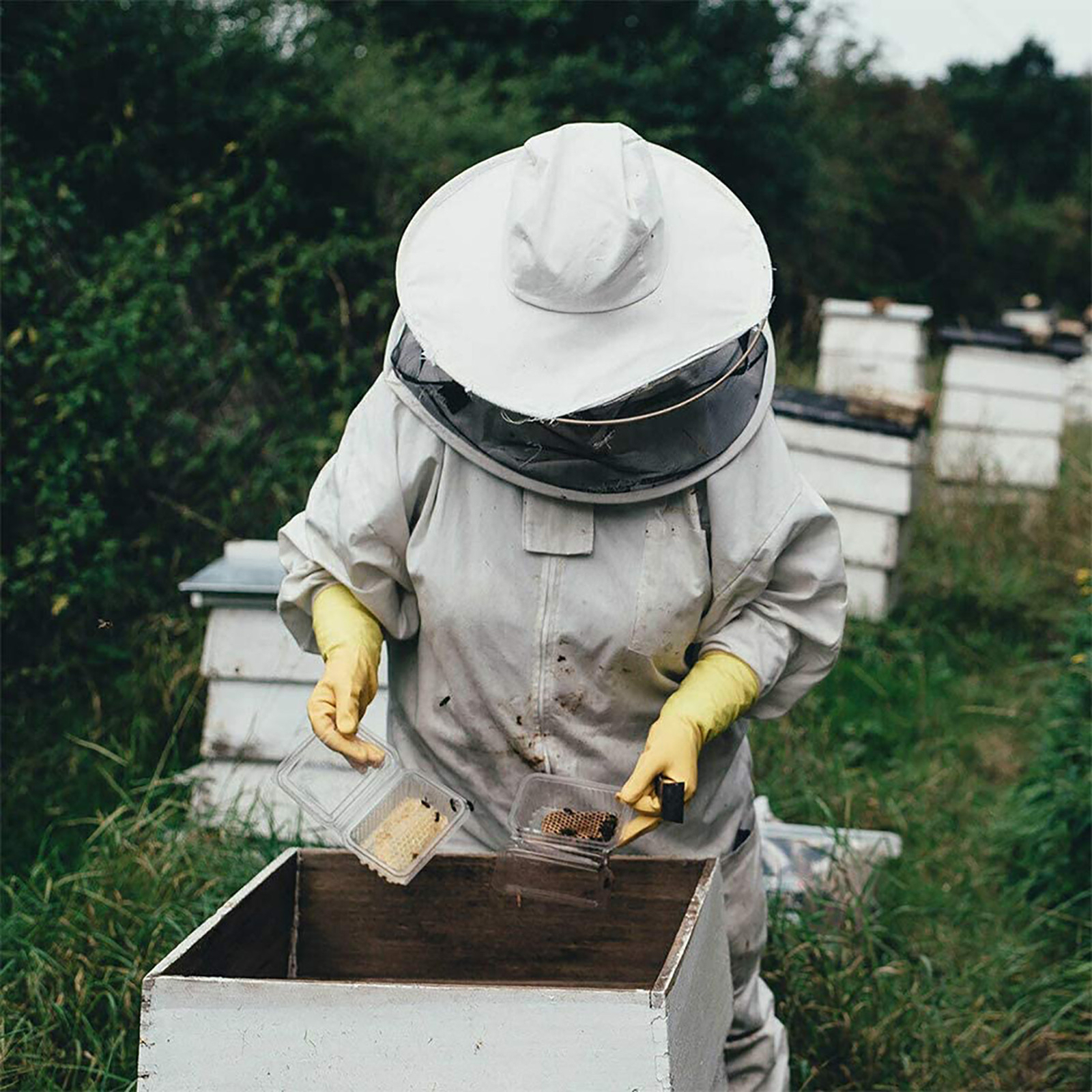 Hive Beekeeping Suit Beekeeping Bee Protective Clothing Beekeeping Suit XL