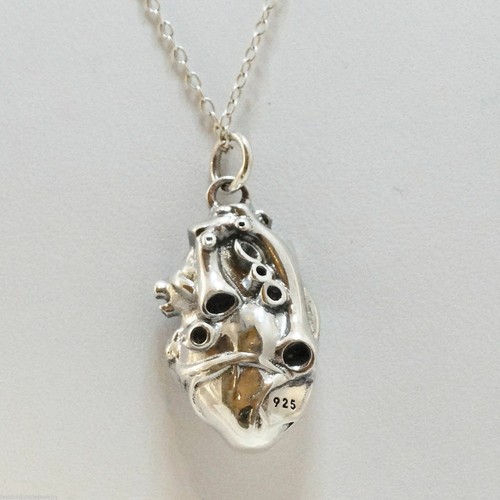 3D Anatomical Human Heart Charm Necklace - 925 Sterling Silver - Love Lifelike