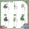 Ceenna 400 Pcs 6 Kinds Mixed Eucalyptus Leaves Stems Bulk Artificial Eucalyptus Leaves Sprays Silver Dollar Eucalyptus Faux Greenery Picks Bundle for Wedding Vase Floral Arrangement Decor