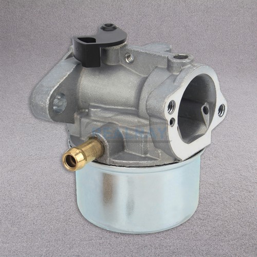 Carburetor Carb For  Quantum XTE 60 Motor 6HP Engine