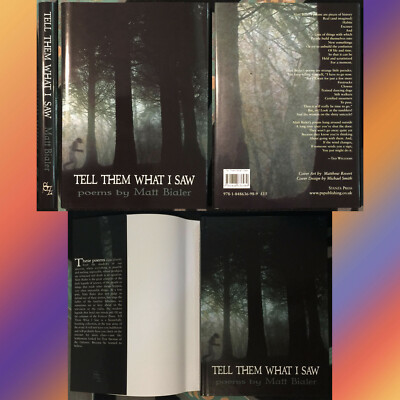 Tell Them What I Saw Matt Bialer Stanza POETRY #10 HC NICE supernatural UFOs!!