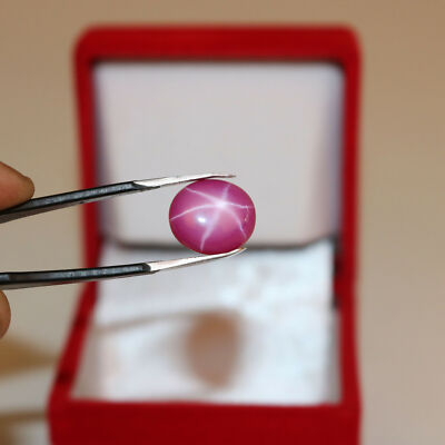 Certified Natural Star Ruby 10 Ct. 6 Rays Oval Cabochon Loose Gemstone STR-446