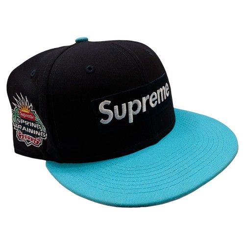 N*O様 正規品　Supreme New Era spring training Supreme x New Era - Spring Training Box Logo Hat (Purple