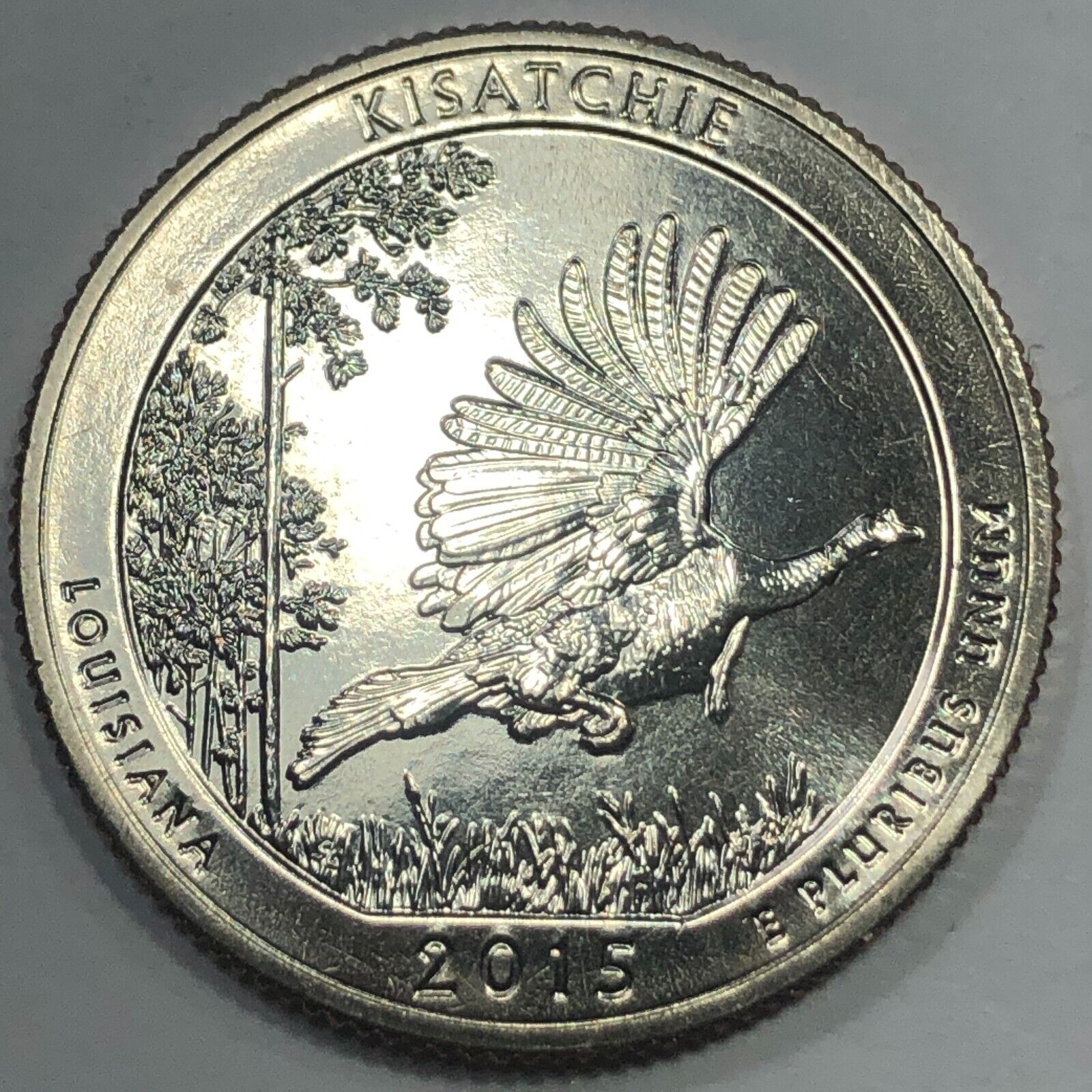 2015 S - Kisatchie National Forest ATB Quarter Dollar Coin