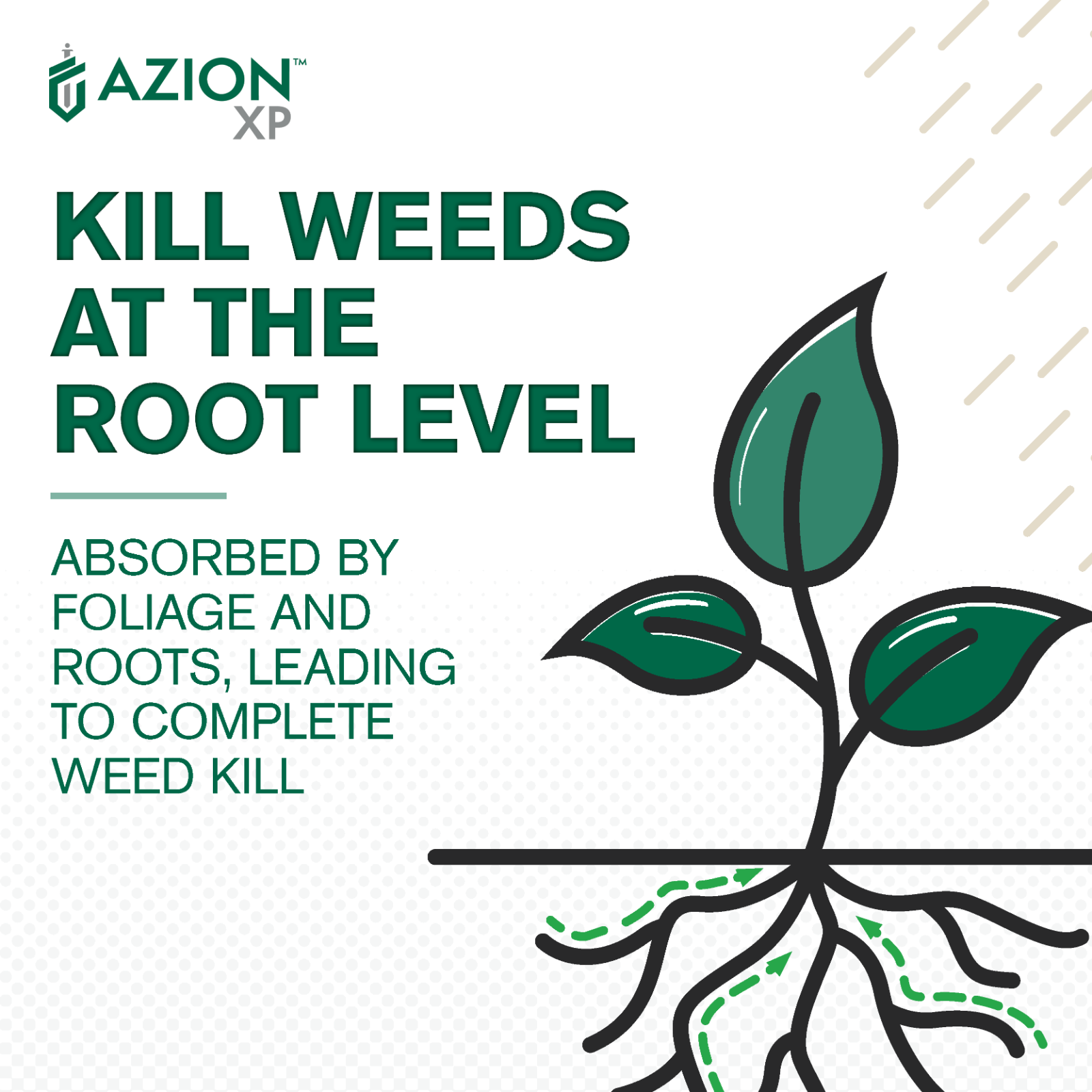 Azion XP Herbicide (8 oz) - Compare to Escort XP - MSM - Weed & Brush Control