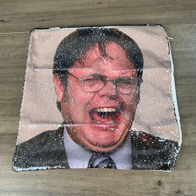 Sequin top dwight pillow