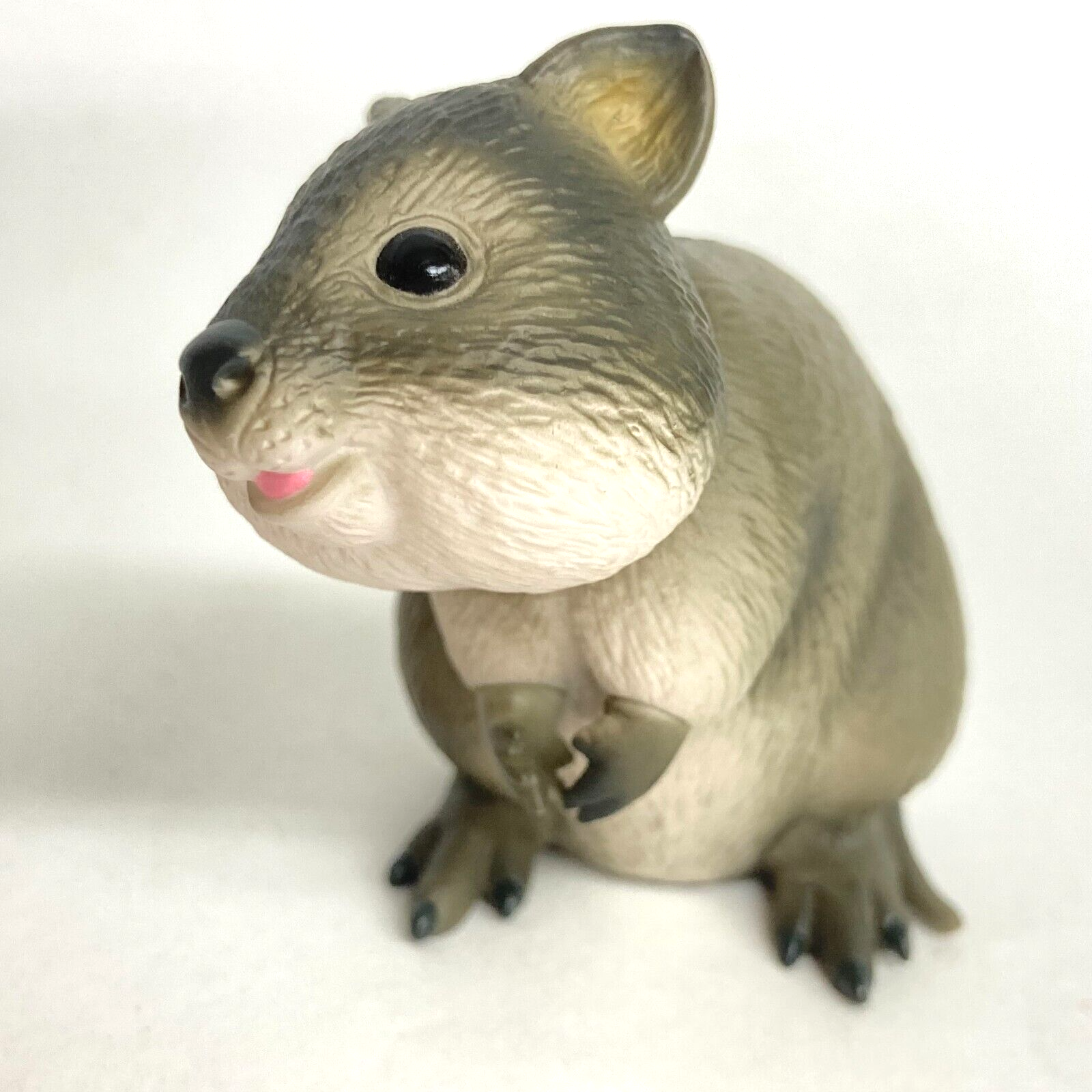 necoページquokka Amazon.com: QUOKKA Puzzles for Kids Ages 4-6 - Set of 4x60