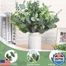 Ceenna 400 Pcs 6 Kinds Mixed Eucalyptus Leaves Stems Bulk Artificial Eucalyptus Leaves Sprays Silver Dollar Eucalyptus Faux Greenery Picks Bundle for Wedding Vase Floral Arrangement Decor