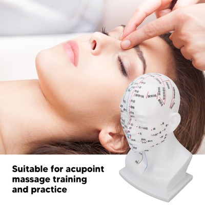 Acupuncture Point Head Model PVC White Face Massage Meridians Head Model Tea ANA