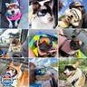 Mitubati Dog Sunglasses Pet Goggles for Medium Large UV Protection Wind Protection Dust Protection Adjustable Strap Dog Glasses Suitable for Snow Beach Motorcycle