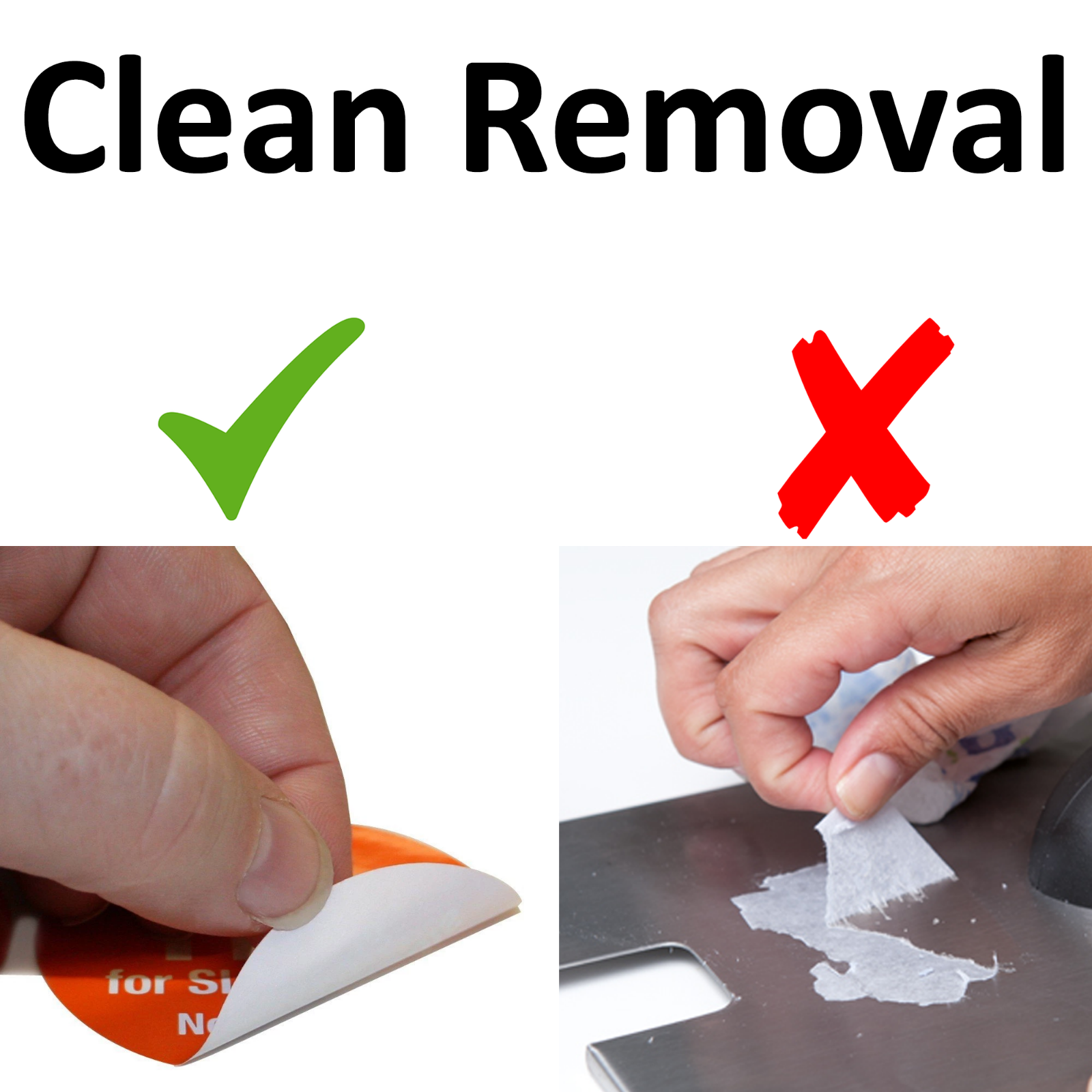 100 Fish Fishing Stickers Pack For Tackle Box Fishermen  Dads Car Boat