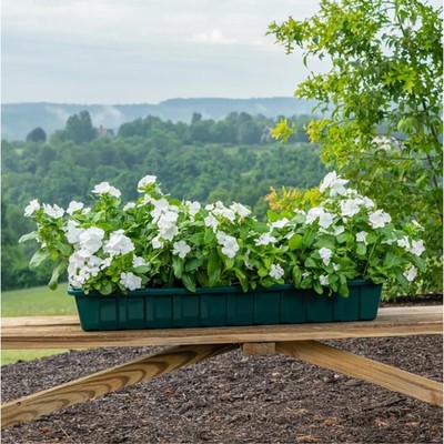 Novelty Poly-Pro Plastic Indoor/Outdoor Liner/Planter Flower Box, Green 36 inch