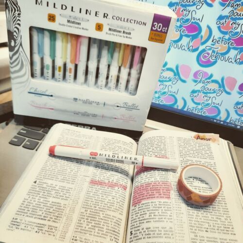 Zebra Mildliner Double-Ended Creative Markers 30-Pack Zebra Mildliner Double-Ended Creative Markers 30-Pack