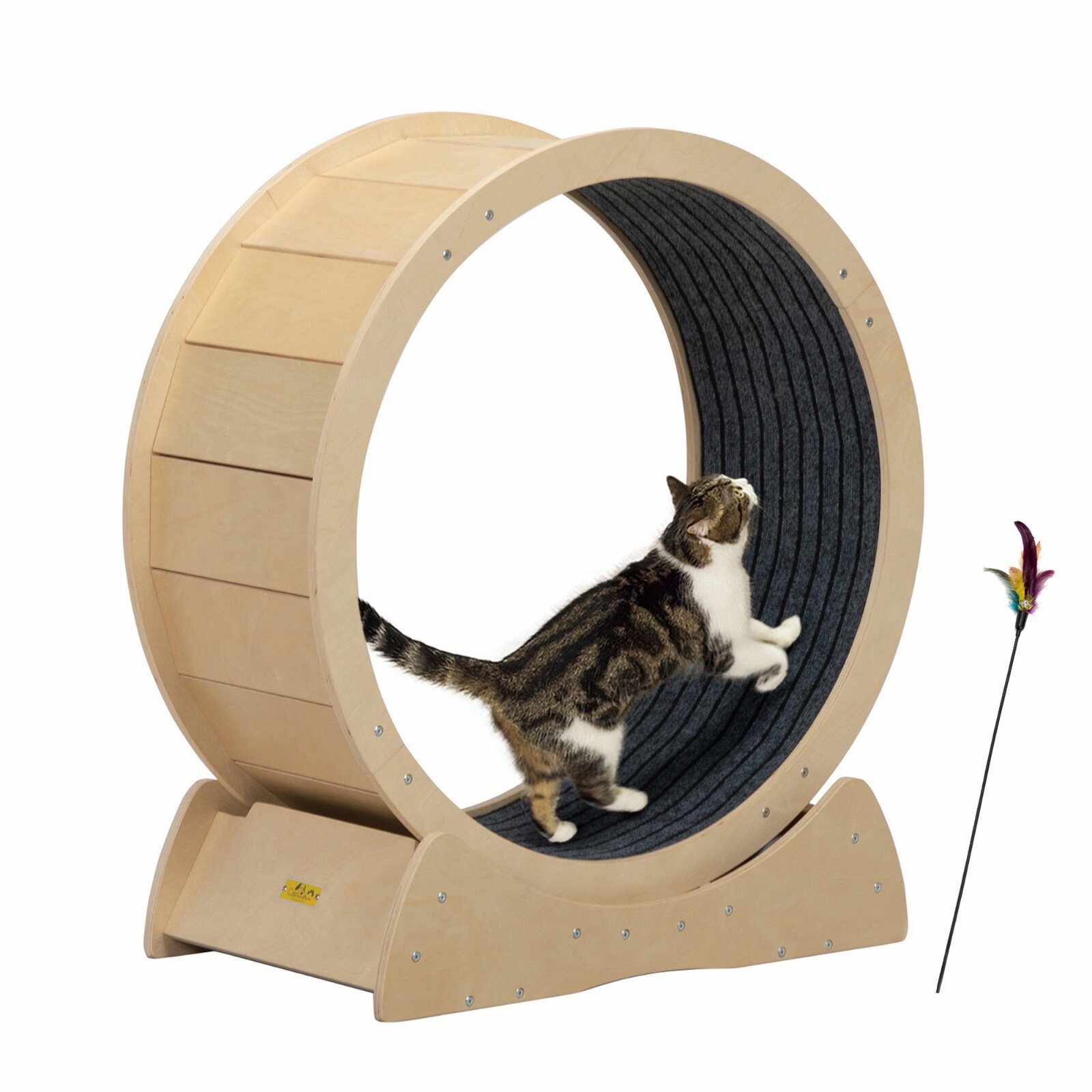 Cat Exercise Wheel Cat Treadmill Kitty Running Training Toy