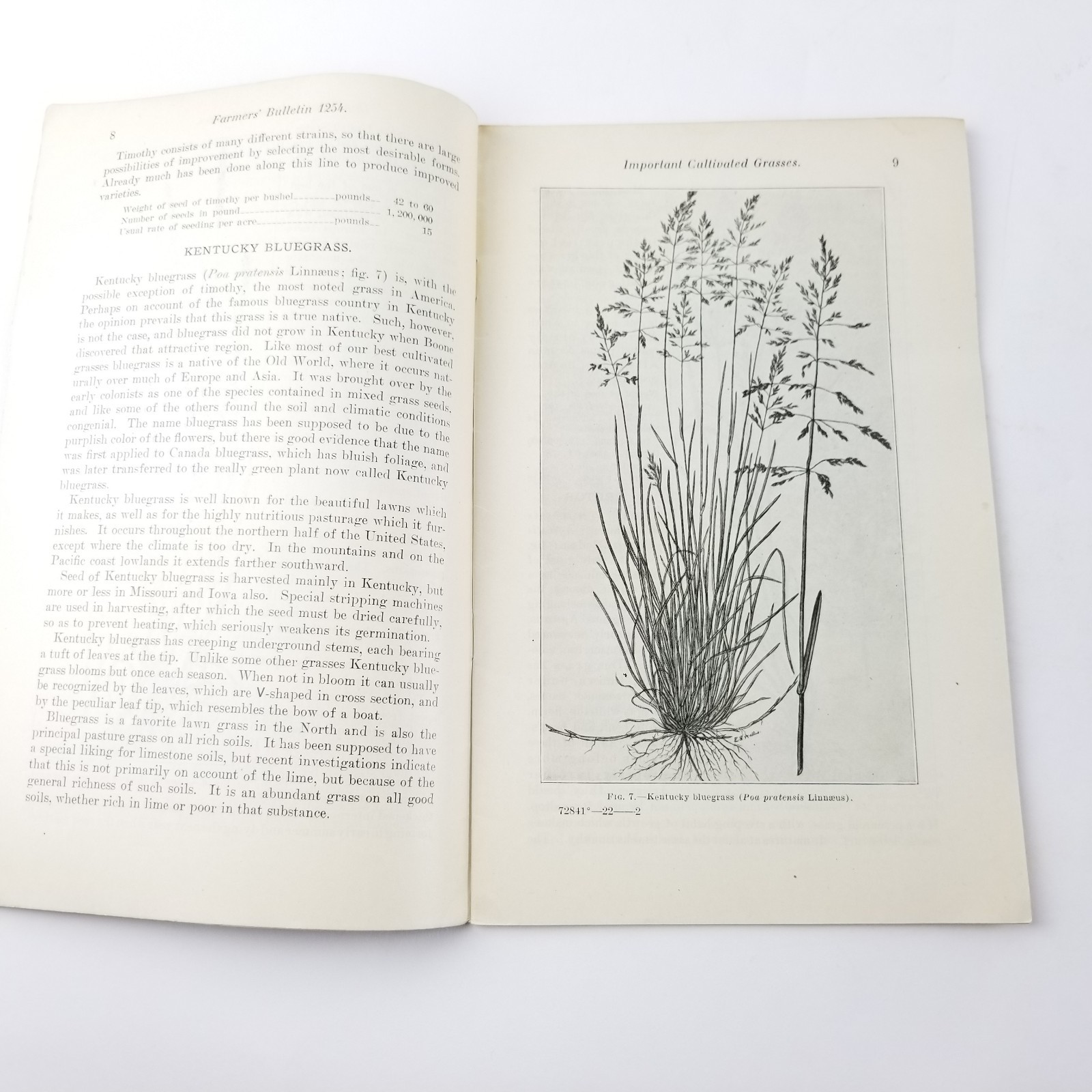 US Department of Agriculture Farmers Bulletin 1254 Important Cultivated Grasses