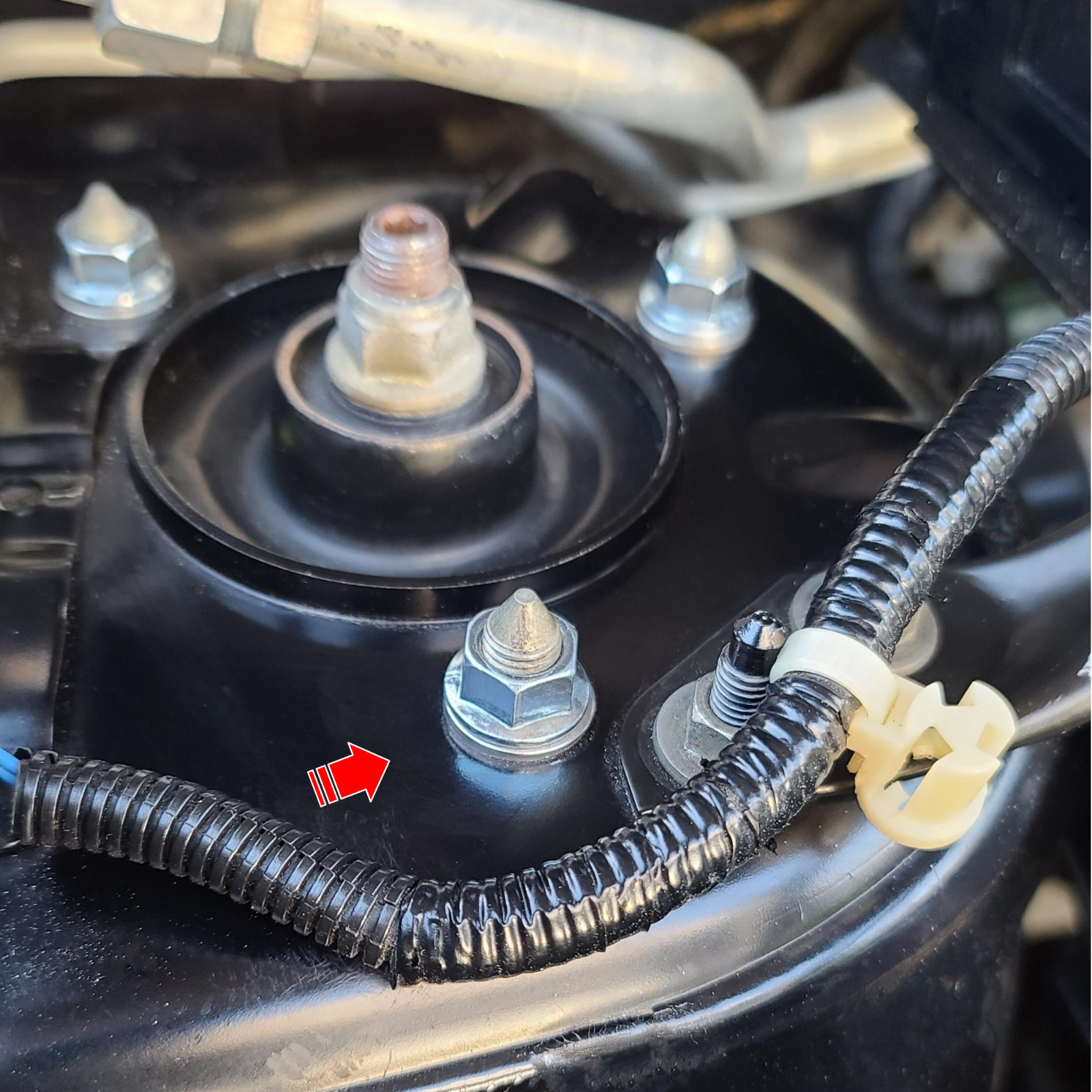 Strut Tower Nuts For Honda and Acura 6Pack eBay