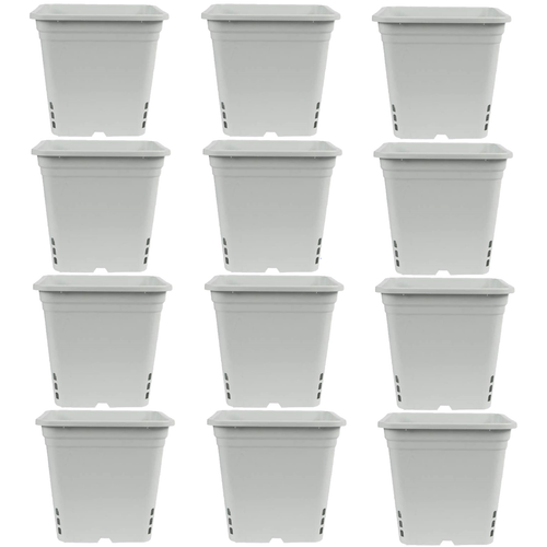SunPack Food Grade & BPA Free, Tall Square Pot, White, 12" (Pack of 12)