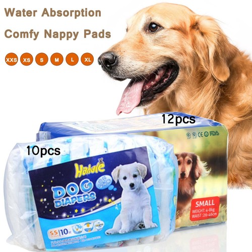 dog nappies argos
