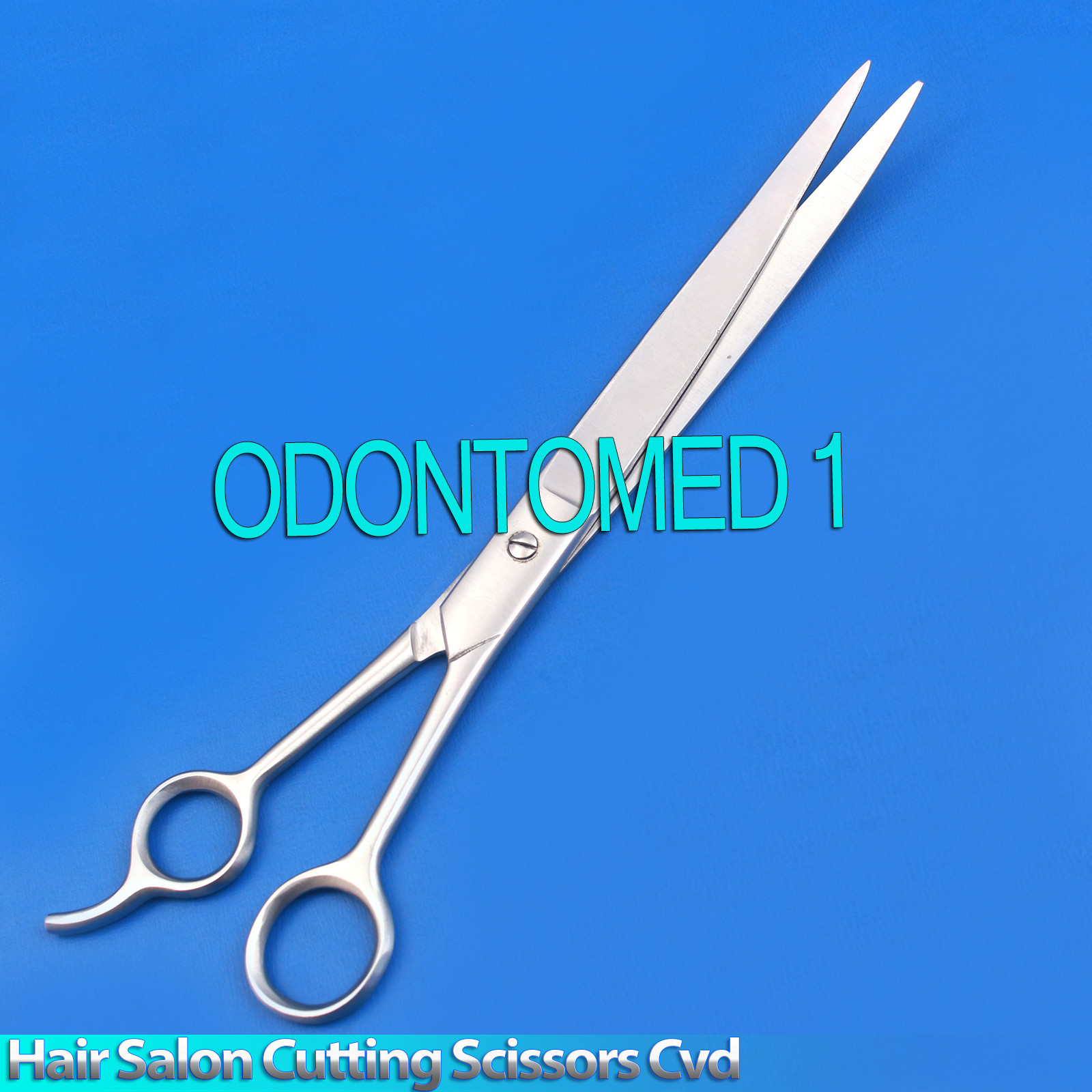 Gift Idea 10 Hair Salon Stylist Cutting Scissors Barber Shears