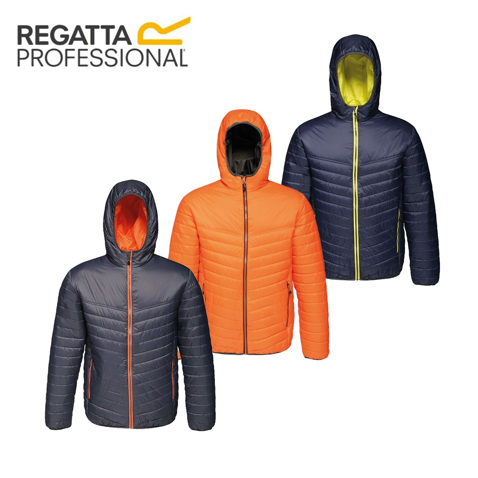 Regatta Acadia II Mens Hooded Quilted 