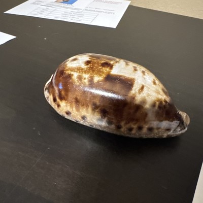 Fotos del artículo de un comprador verificado