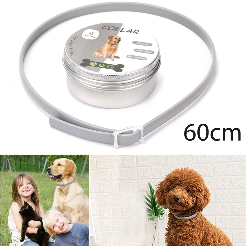 FlohUnd Zeckenhalsband Für Kleine Katzen Hund Anti Insekt 8 Monate