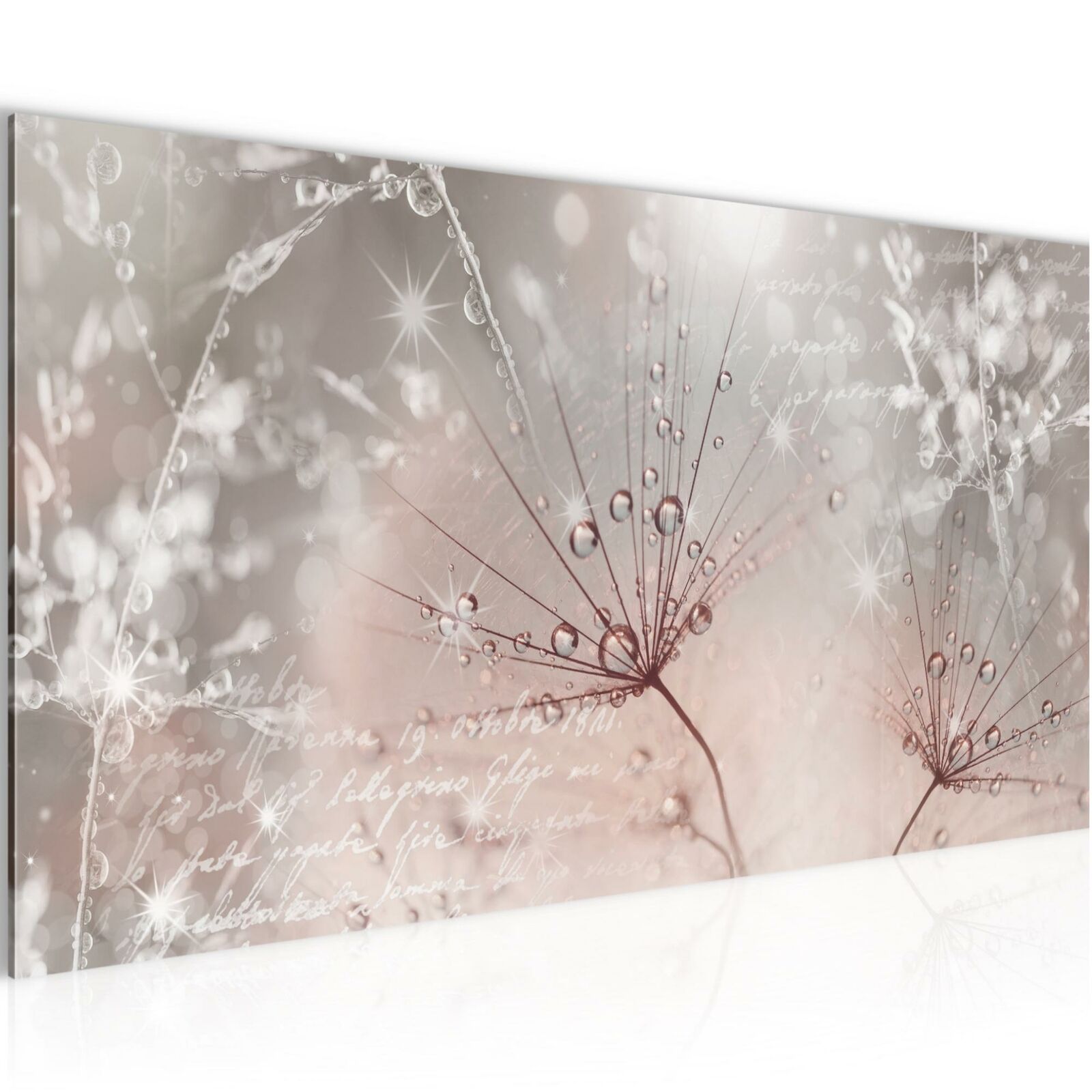 Wandbilder   Wohnzimmer - Pusteblume Beige Braun - Schlafzimmer Bilder 100x40 cm