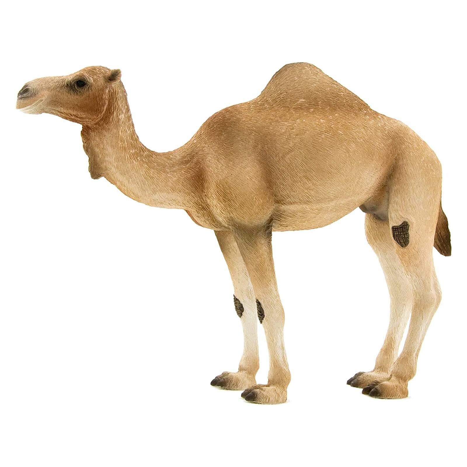 MOJO Arabian Camel Animal Figure 387113 NEW Развивающие обучающие игрушки