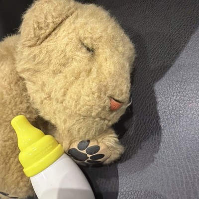 2008 WOW-WEE Interactive LION CUB with sounds - working