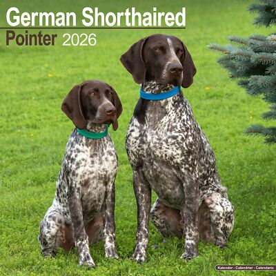 German ShortHaired Pointer 2026 Calendar | Dog Gift Wall 20% OFF MULTI ORDERS