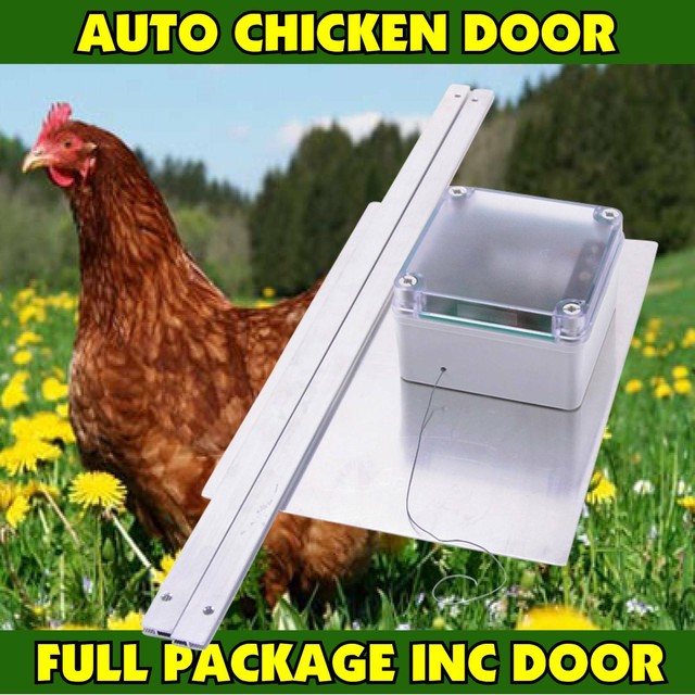  Chicken Door AUTOmatic opener keep foul safe Night time 