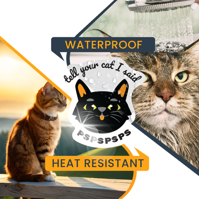 Magnet Me Up Tell Your Cat I Said PSPSPSPS Funny Cute Magnet Decal, 4.5x4.5