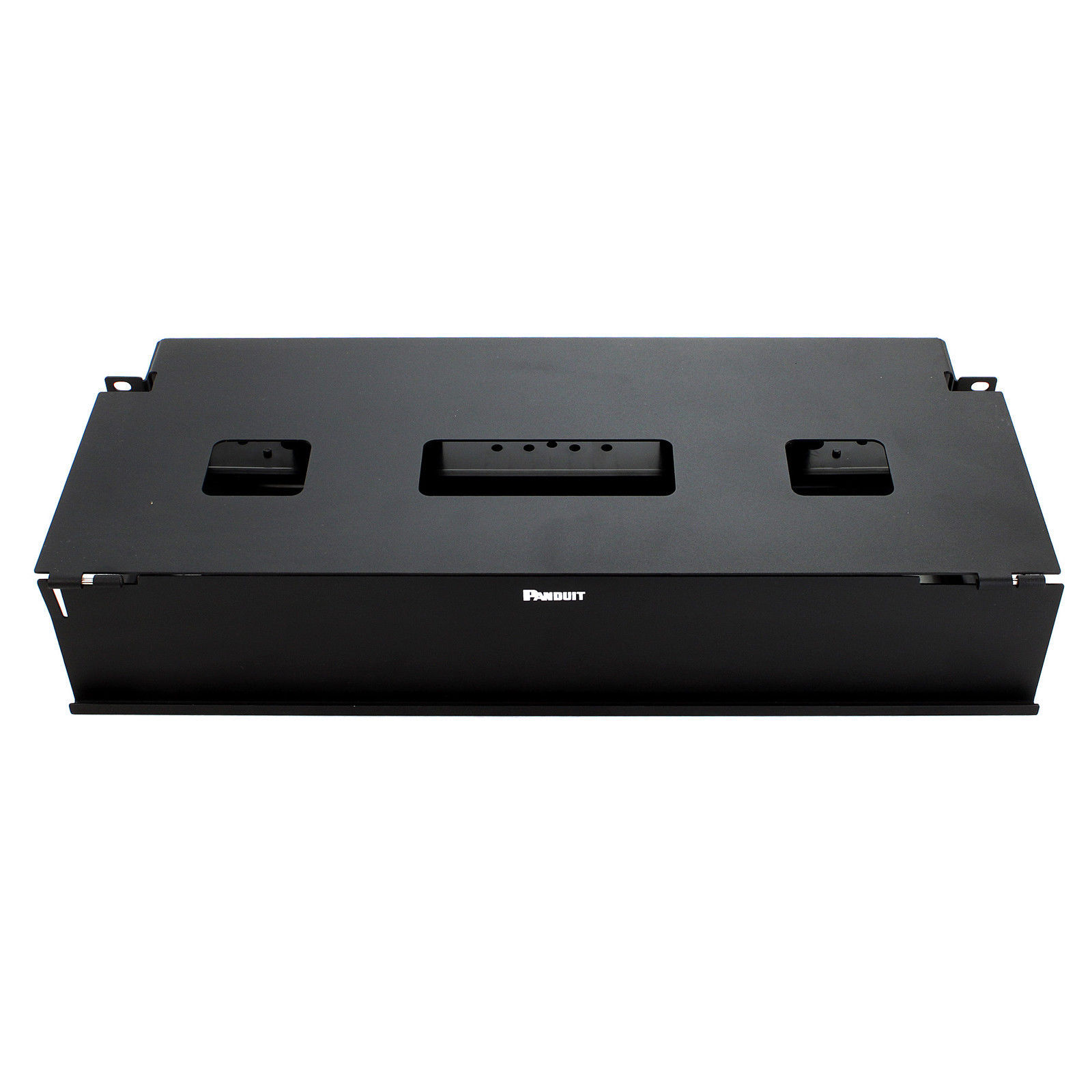 Administrador de Horizontal Panduit ataduras de Cables y organizadores