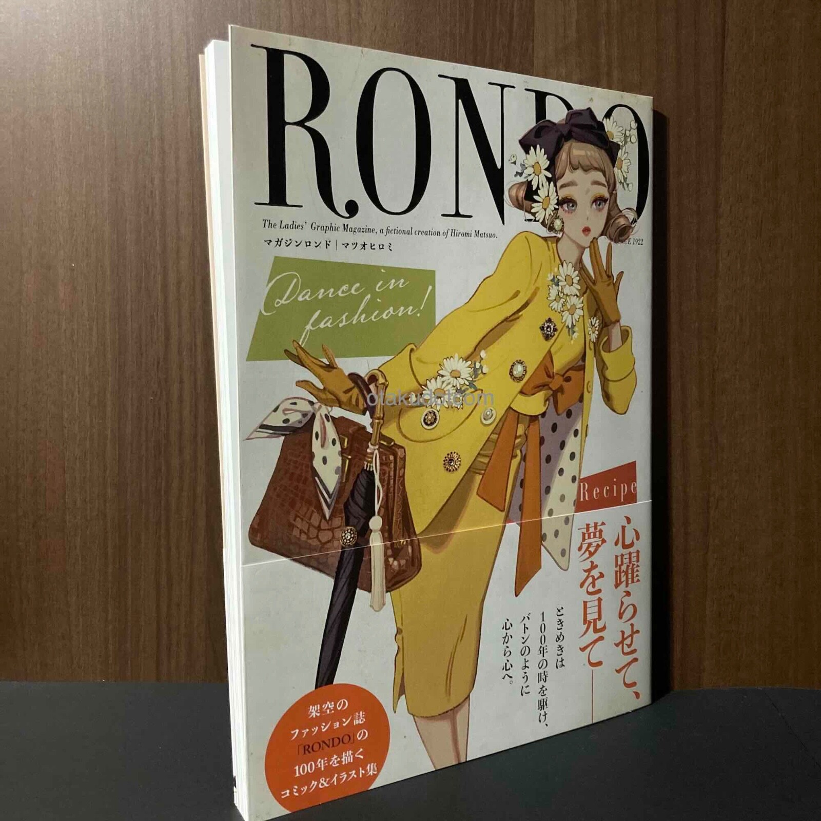 Dreaming in Print アート　雑誌 DREAMING IN PRINT - A DECADE OF VISIONAIRE - |