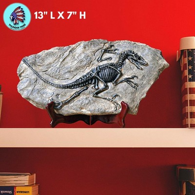 Faux Dinosaur Fossil Skeleton Velociraptor Model Prehistoric Animal Home Decor